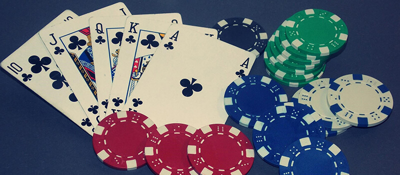 poker en bodog casino méxico