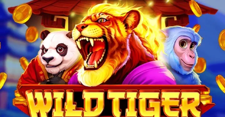 wild-tiger-slot-bgaming-2